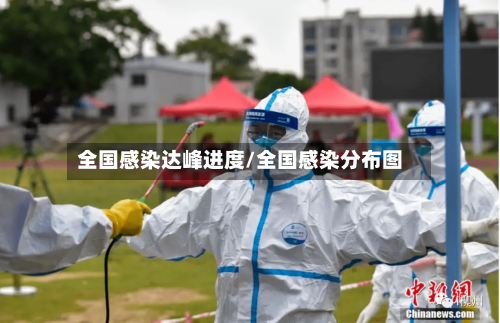 全国感染达峰进度/全国感染分布图-第3张图片