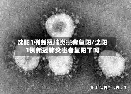 沈阳1例新冠肺炎患者复阳/沈阳1例新冠肺炎患者复阳了吗