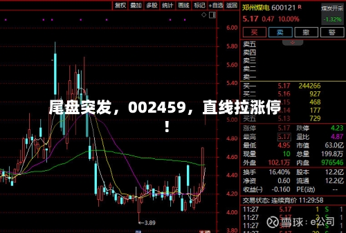 尾盘突发，002459，直线拉涨停！-第2张图片