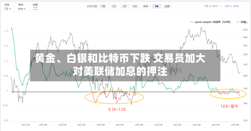 黄金、白银和比特币下跌 交易员加大对美联储加息的押注-第2张图片