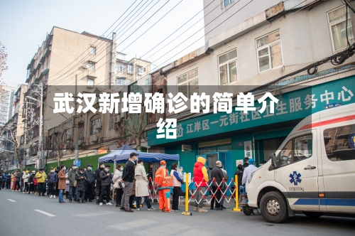 武汉新增确诊的简单介绍