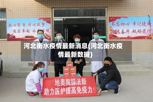 河北衡水疫情最新消息(河北衡水疫情最新数据)-第3张图片