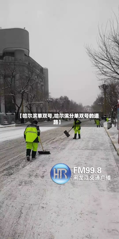 【哈尔滨单双号,哈尔滨分单双号的道路】-第2张图片