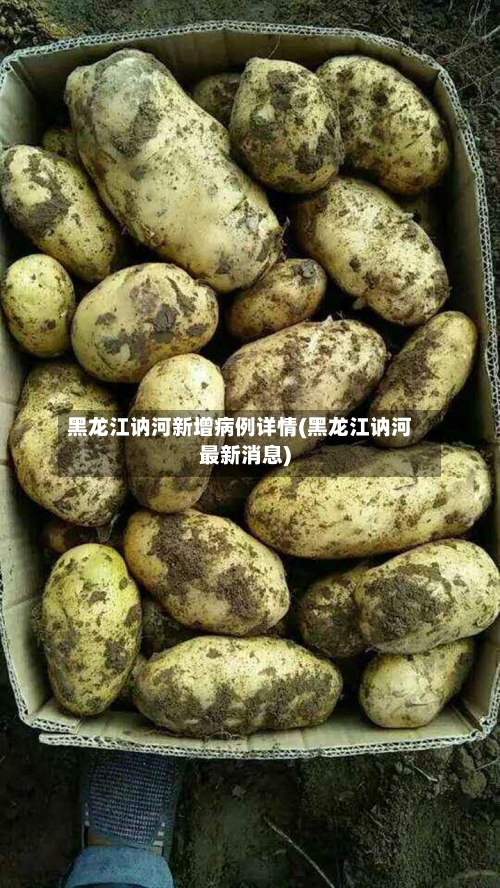 黑龙江讷河新增病例详情(黑龙江讷河最新消息)-第2张图片