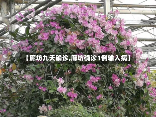 【廊坊九天确诊,廊坊确诊1例输入病】