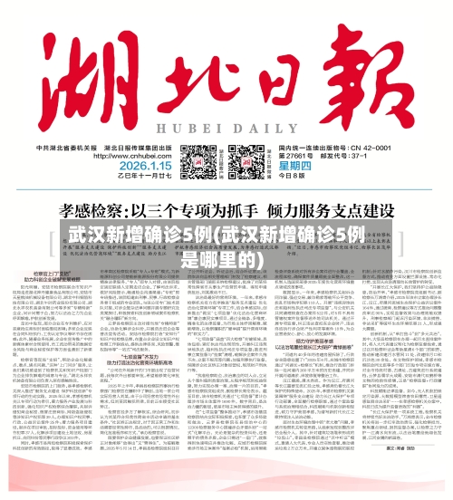 武汉新增确诊5例(武汉新增确诊5例是哪里的)-第3张图片