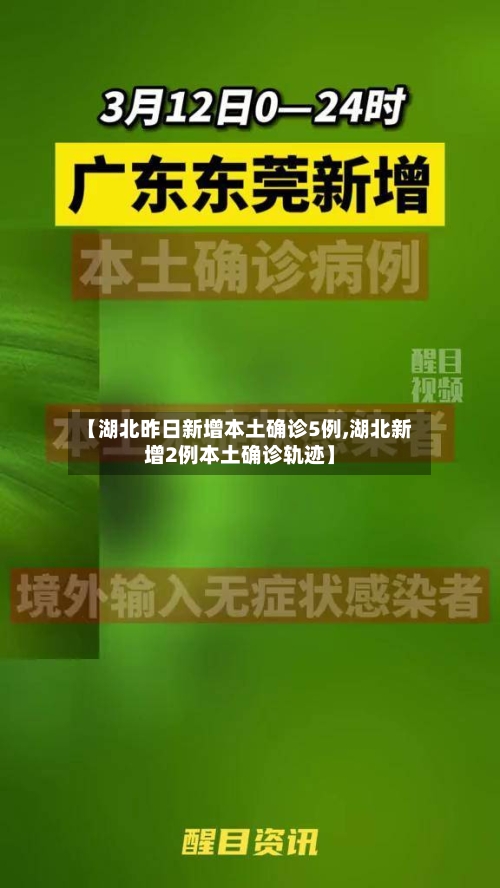 【湖北昨日新增本土确诊5例,湖北新增2例本土确诊轨迹】-第2张图片