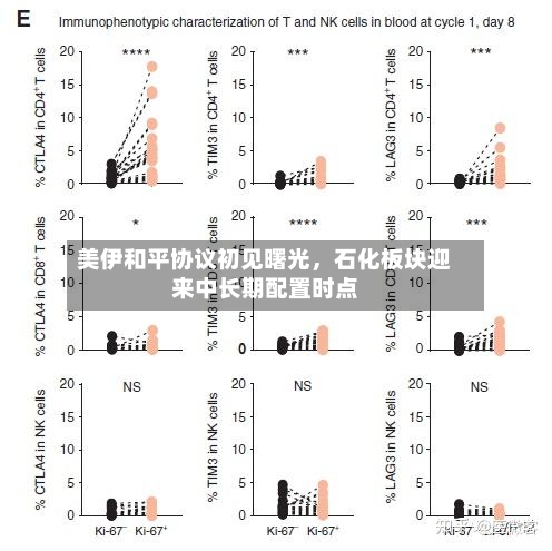 美伊和平协议初见曙光，石化板块迎来中长期配置时点-第3张图片
