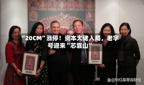 “20CM”涨停！资本大佬入局，老字号迎来“芯靠山”-第3张图片