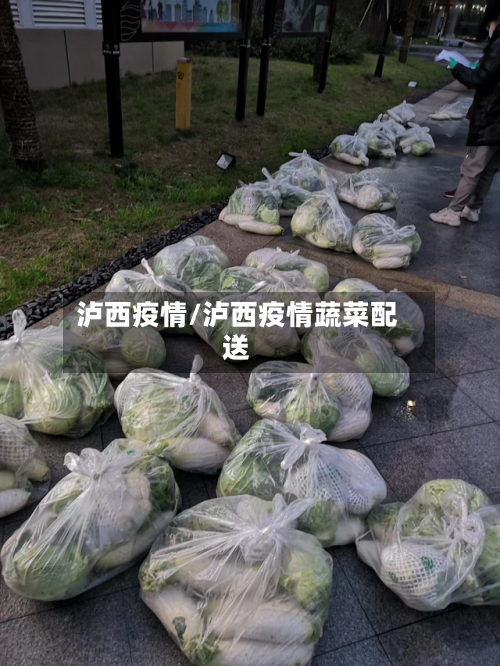 泸西疫情/泸西疫情蔬菜配送