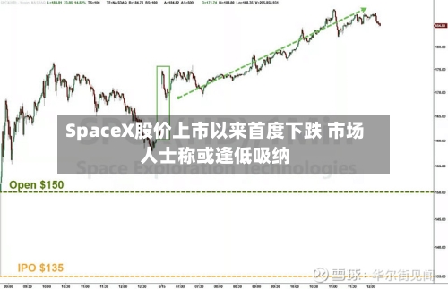 SpaceX股价上市以来首度下跌 市场人士称或逢低吸纳