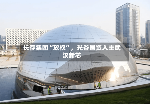 长存集团“放权”，光谷国资入主武汉新芯
