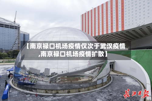 【南京禄口机场疫情仅次于武汉疫情,南京禄口机场疫情扩散】-第2张图片