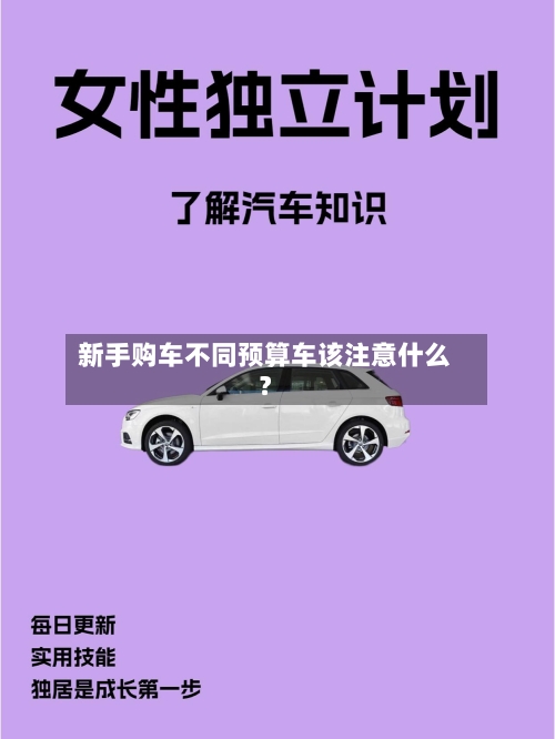 新手购车不同预算车该注意什么？-第2张图片