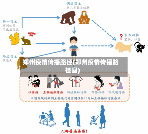 郑州疫情传播路径(郑州疫情传播路径图)