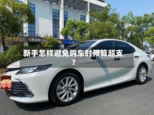 新手怎样避免购车时预算超支?-第2张图片
