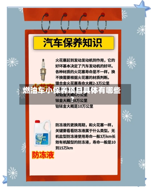 燃油车小保养项目具体有哪些？