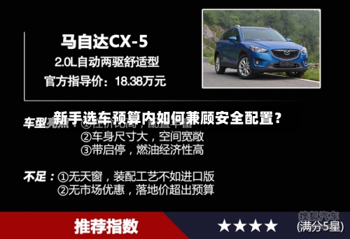 新手选车预算内如何兼顾安全配置？-第3张图片