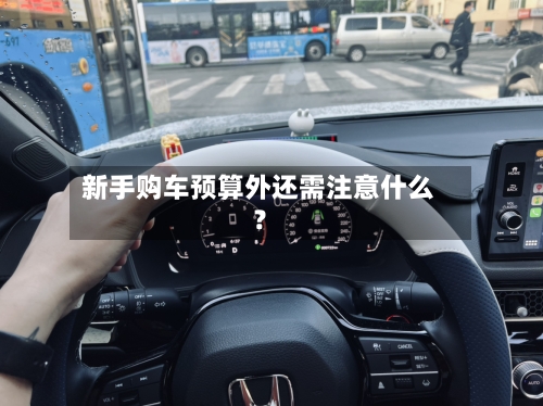 新手购车预算外还需注意什么?-第2张图片