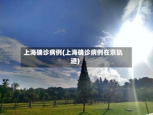 上海确诊病例(上海确诊病例在京轨迹)-第2张图片