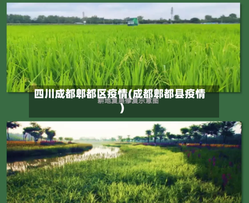四川成都郫都区疫情(成都郫都县疫情)-第2张图片