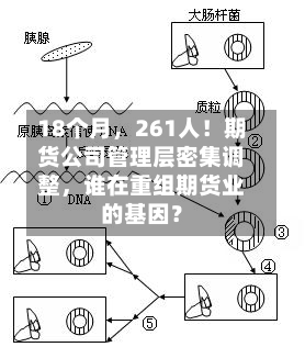18个月，261人！期货公司管理层密集调整，谁在重组期货业的基因？-第3张图片