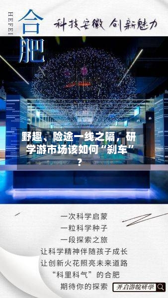 野趣、险途一线之隔，研学游市场该如何“刹车	”？-第2张图片