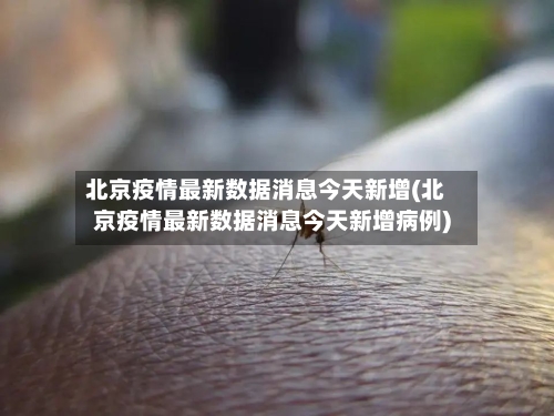 北京疫情最新数据消息今天新增(北京疫情最新数据消息今天新增病例)-第2张图片