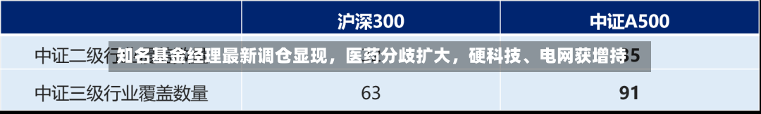 知名基金经理最新调仓显现，医药分歧扩大，硬科技、电网获增持-第2张图片