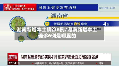 湖南新增本土确诊6例/湖南新增本土确诊6例是哪里的