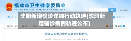 沈阳新增确诊详细行动轨迹(沈阳新增确诊病例轨迹公布)-第2张图片
