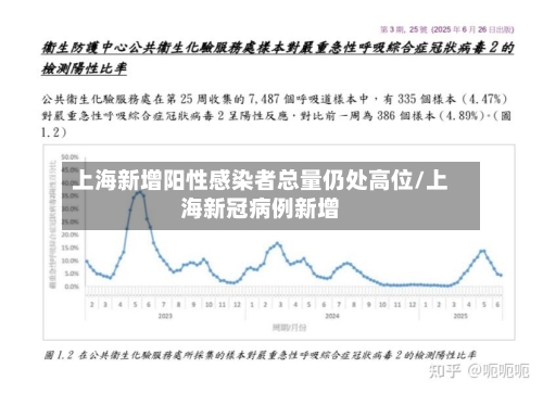 上海新增阳性感染者总量仍处高位/上海新冠病例新增-第2张图片